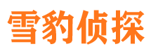 保靖市私家侦探